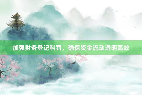 加强财务登记科罚，确保资金流动透明高效