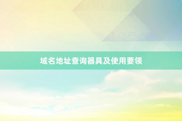 域名地址查询器具及使用要领