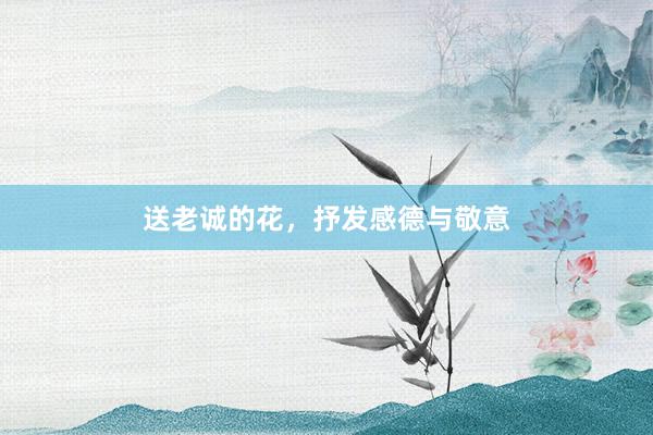 送老诚的花，抒发感德与敬意