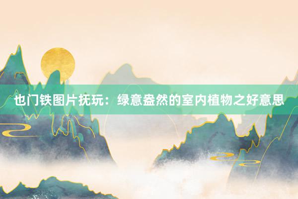 也门铁图片抚玩：绿意盎然的室内植物之好意思