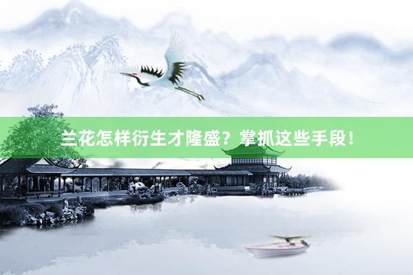 兰花怎样衍生才隆盛？掌抓这些手段！