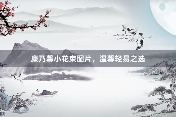 康乃馨小花束图片，温馨轻易之选