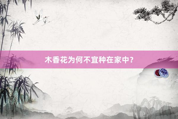木香花为何不宜种在家中？