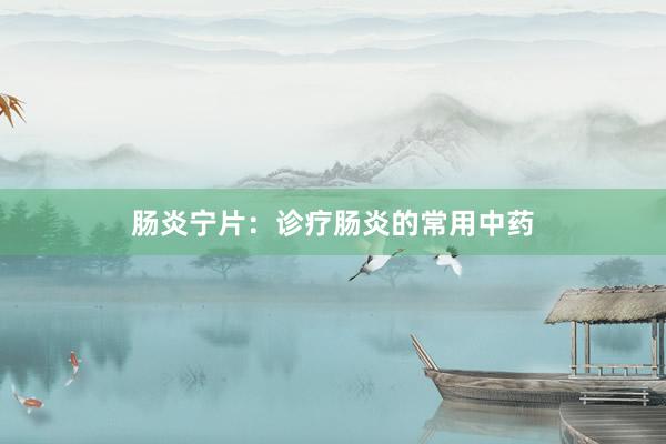 肠炎宁片:诊疗肠炎的常用中药